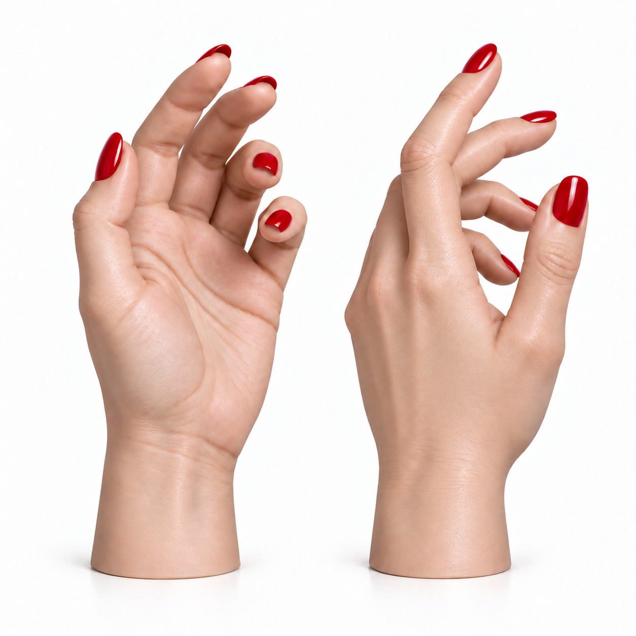 Pair of hands / skeleton / french tip product view
